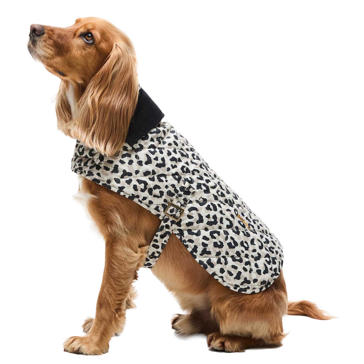 Barbour Harley Quilted Dog Coat